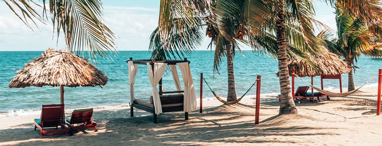 Tropical beach scene with palm trees, hammocks, and straw thatched umbrellas. Tropical beach scene with palm trees, hammocks, and straw thatched umbrellas.