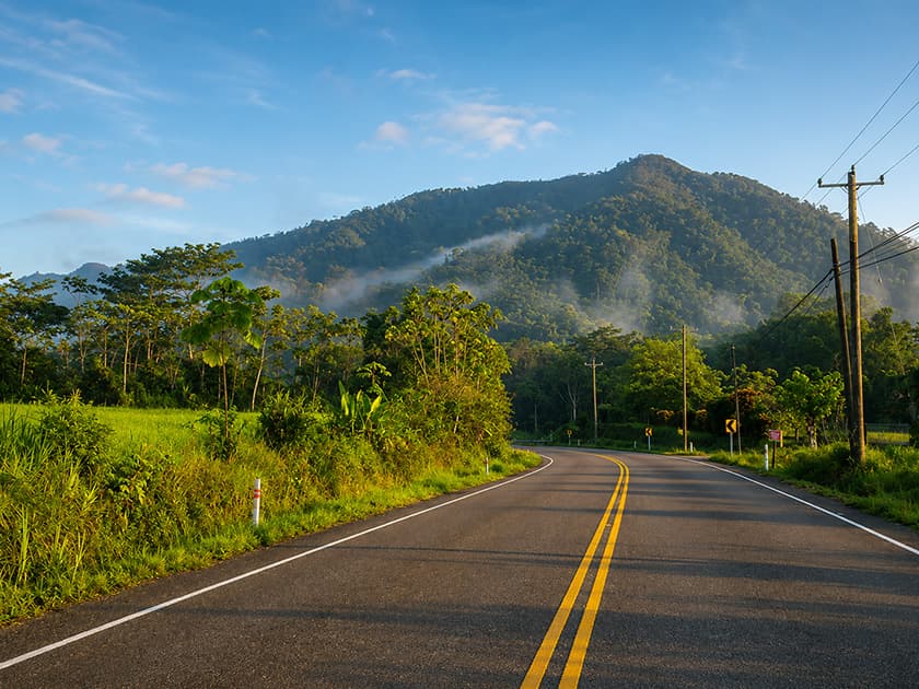 A winding road lined with greenery leads towards a misty mountain under a clear sky. A winding road lined with greenery leads towards a misty mountain under a clear sky.