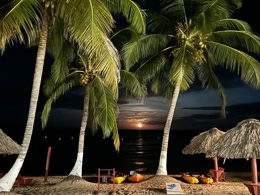 Silhouetted palm trees frame a sunset over a tranquil beach with kayaks in the foreground.