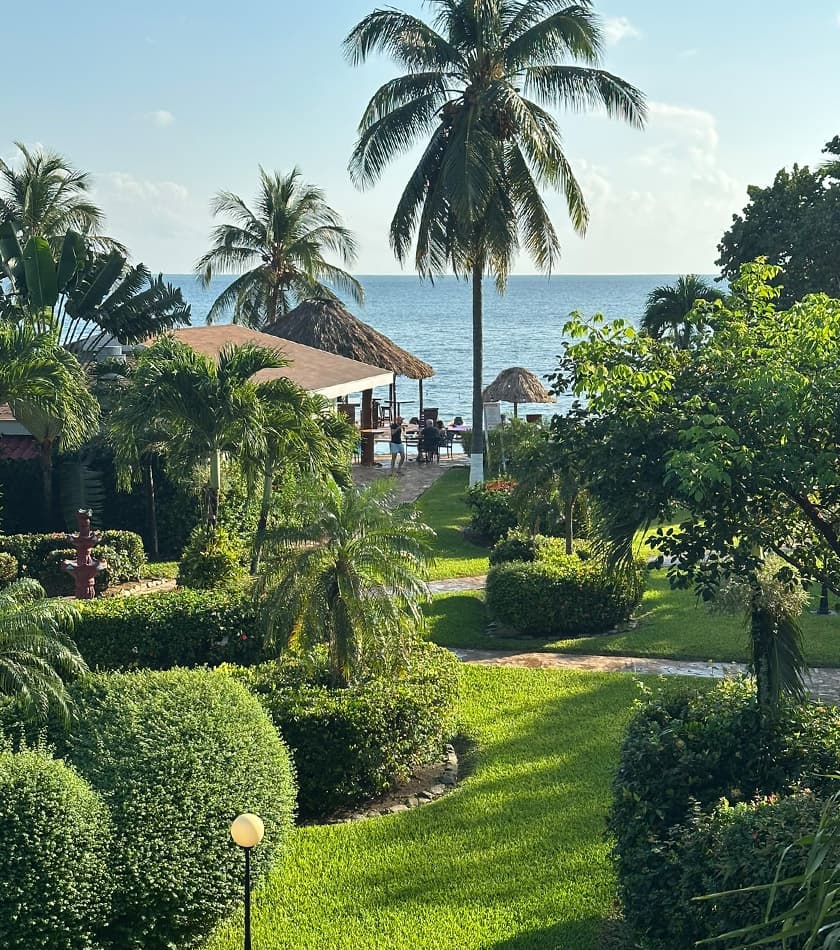 A lush garden pathway leads to the ocean, framed by palm trees and a beachside hut.