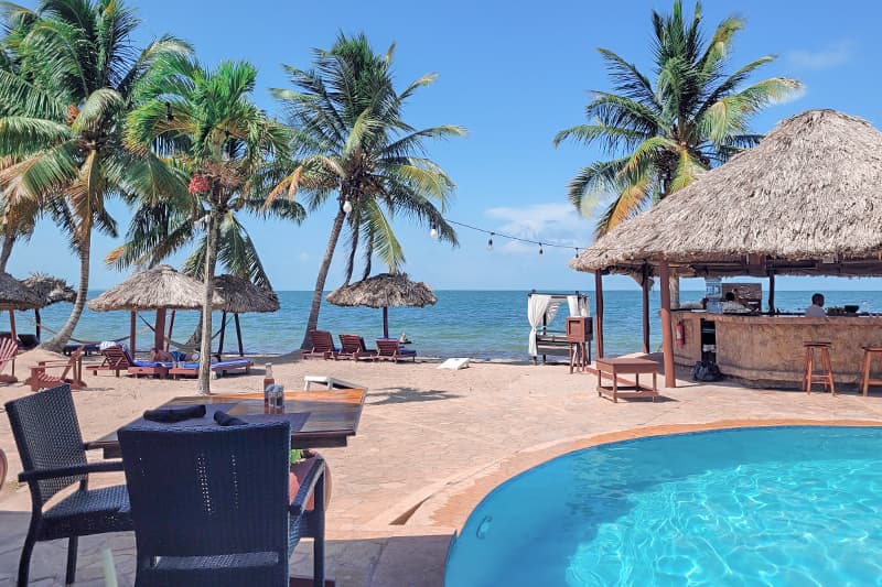 A tropical beach scene featuring a pool, palm trees, and a thatched-roof bar overlooking the ocean. A tropical beach scene featuring a pool, palm trees, and a thatched-roof bar overlooking the ocean.