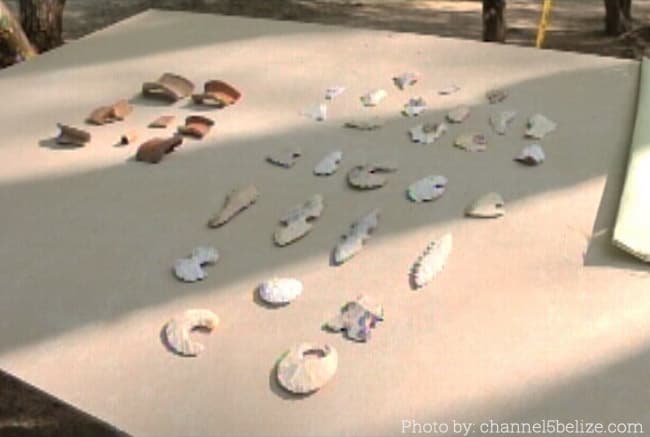 A collection of various archaeological shell and clay artifacts displayed on a table.