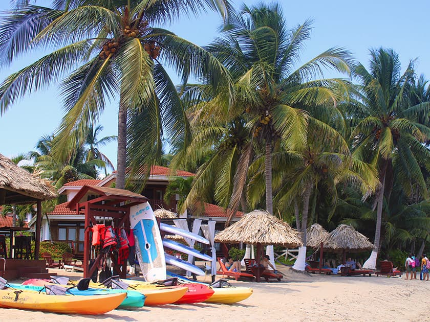 A beachfront scene with colorful kayaks, palm trees, and thatched umbrellas. A beachfront scene with colorful kayaks, palm trees, and thatched umbrellas.