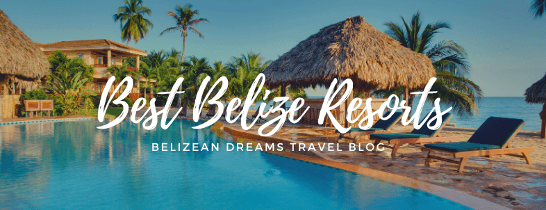A tranquil poolside view of tropical resorts in Belize with palm trees and thatched roofs.
