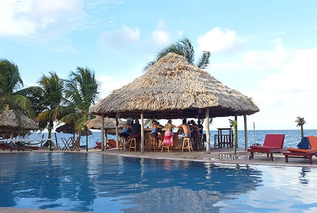 A thatched-roof bar overlooks a swimming pool and the ocean with palm trees in the background.