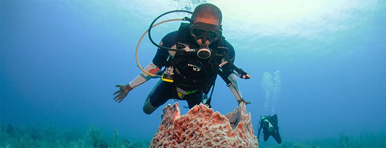 A diver explores a coral formation underwater. A diver explores a coral formation underwater.