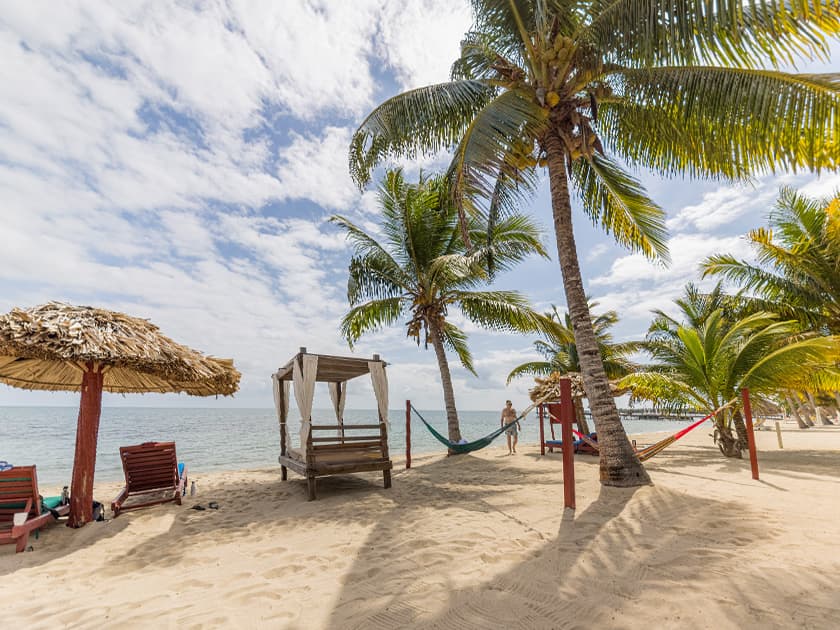 A serene beach scene featuring palm trees, hammocks, and lounge chairs under a partly cloudy sky. A serene beach scene featuring palm trees, hammocks, and lounge chairs under a partly cloudy sky.