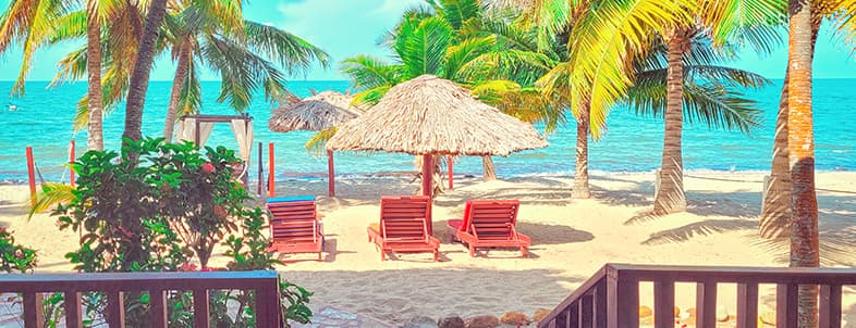 A serene beach scene with palm trees, thatched umbrellas, and lounge chairs overlooking the ocean. A serene beach scene with palm trees, thatched umbrellas, and lounge chairs overlooking the ocean.