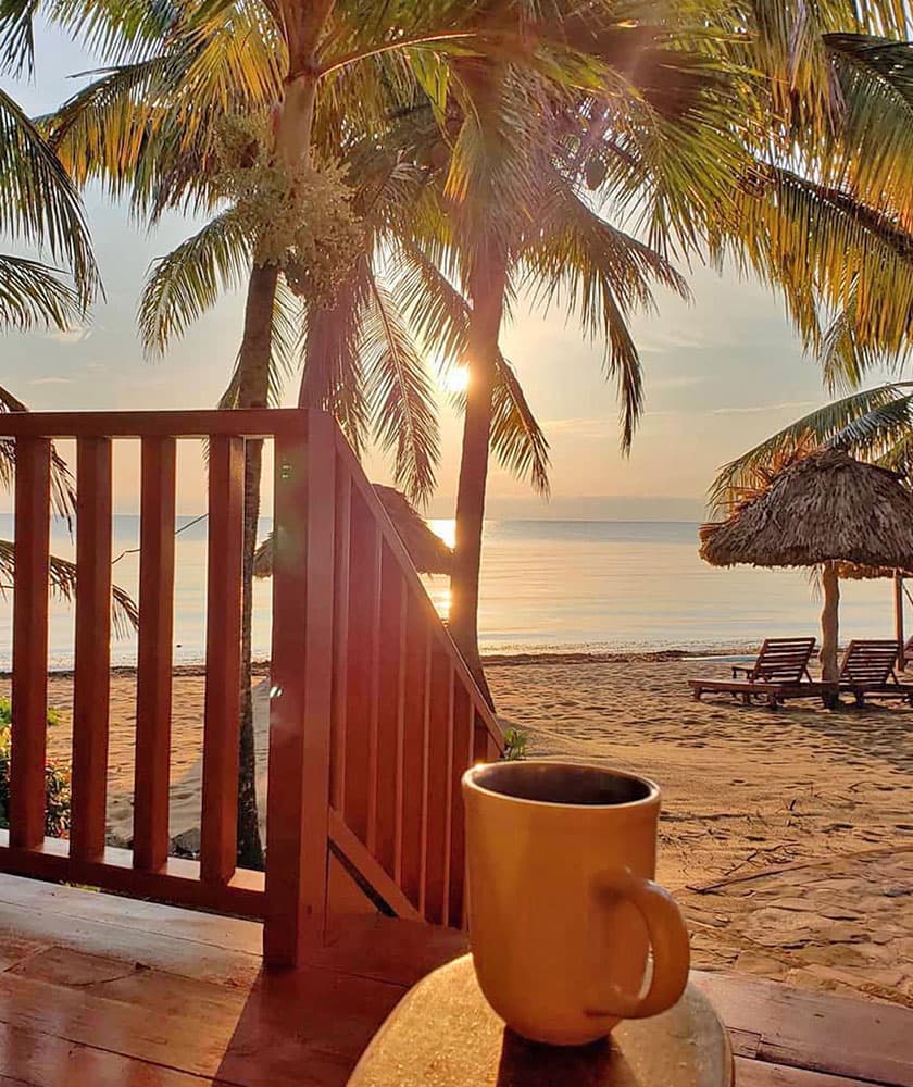 A sunrise view over a beach with palm trees and a coffee cup in the foreground.