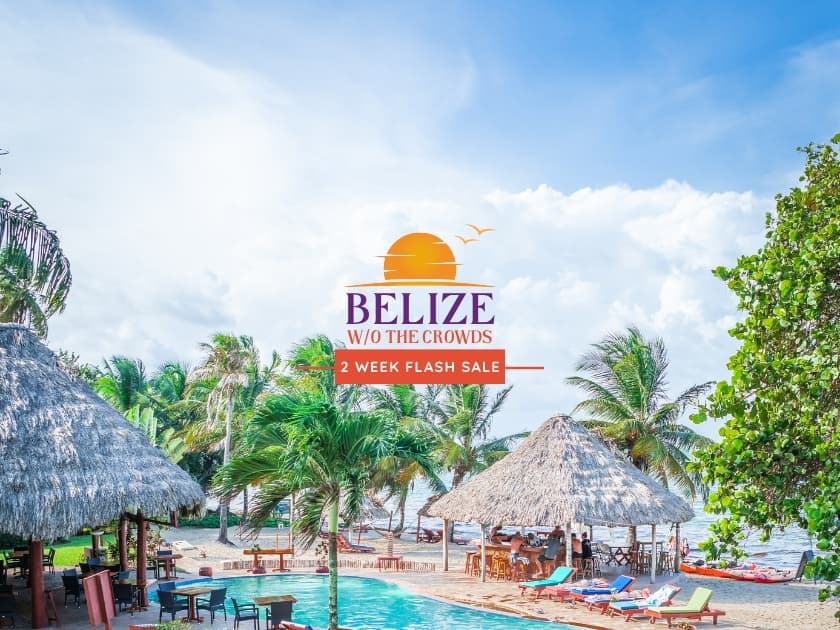 Tropical beach scene in Belize featuring palm trees, thatched roofs, and a promotional graphic for a flash sale. Tropical beach scene in Belize featuring palm trees, thatched roofs, and a promotional graphic for a flash sale.