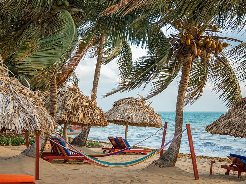 Beach scene with palm trees, thatched umbrellas, and a colorful hammock by the ocean. Beach scene with palm trees, thatched umbrellas, and a colorful hammock by the ocean.