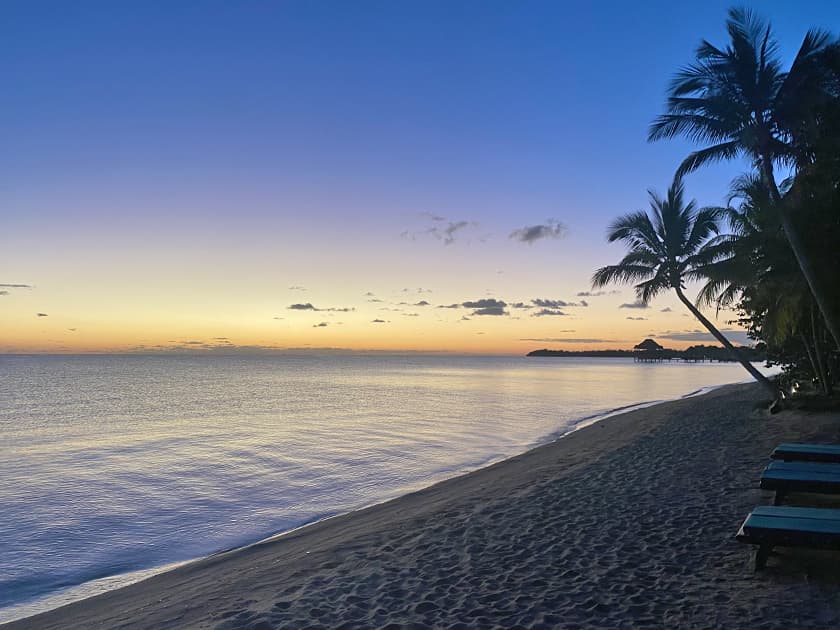 A serene beach at sunset with palm trees and calm waters.