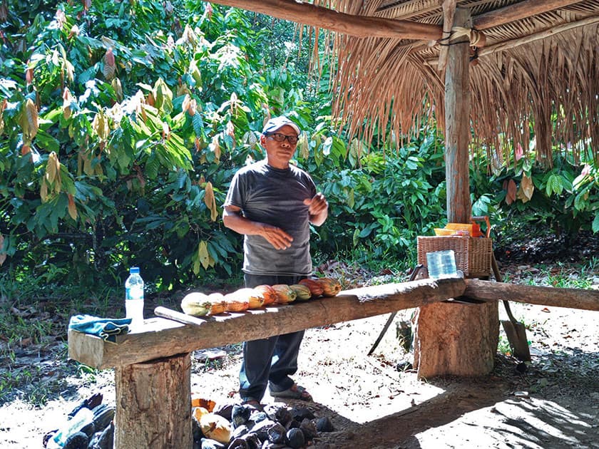 A man stands at a wooden table outdoors, with tropical plants in the background and assorted fruits in front of him. A man stands at a wooden table outdoors, with tropical plants in the background and assorted fruits in front of him.