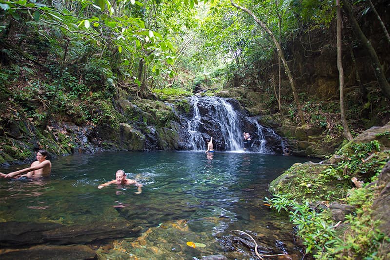 People swimming in a serene natural pool by a small waterfall, surrounded by lush greenery.