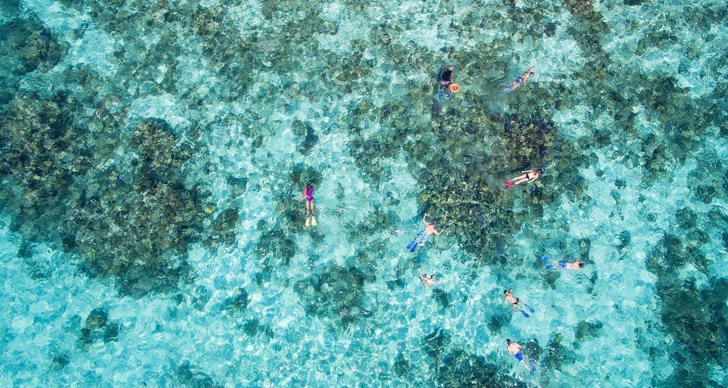 An aerial view of a coral reef with people snorkeling in clear blue water. The coral reef is vibrant and colorful, and the people can be seen swimming around and exploring the underwater world.