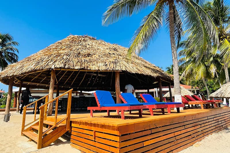 A thatched-roof hut with wooden steps and colorful lounge chairs surrounded by palm trees on a sunny beach.