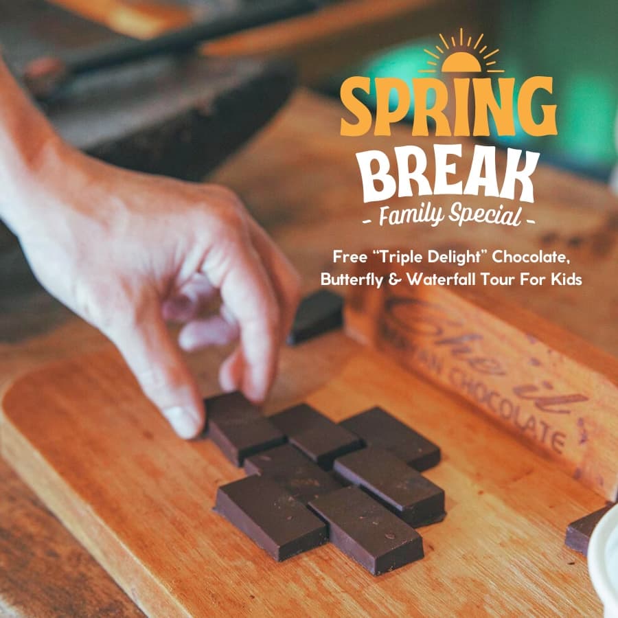 A hand reaches for pieces of chocolate on a wooden board, promoting a family special for Spring Break.