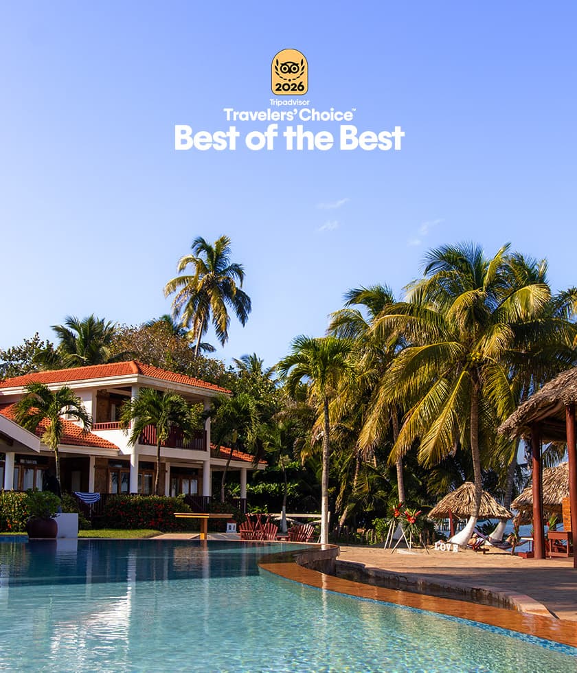 Pool at Belizean Dreans with Tripadivsor Best of the Best logo.